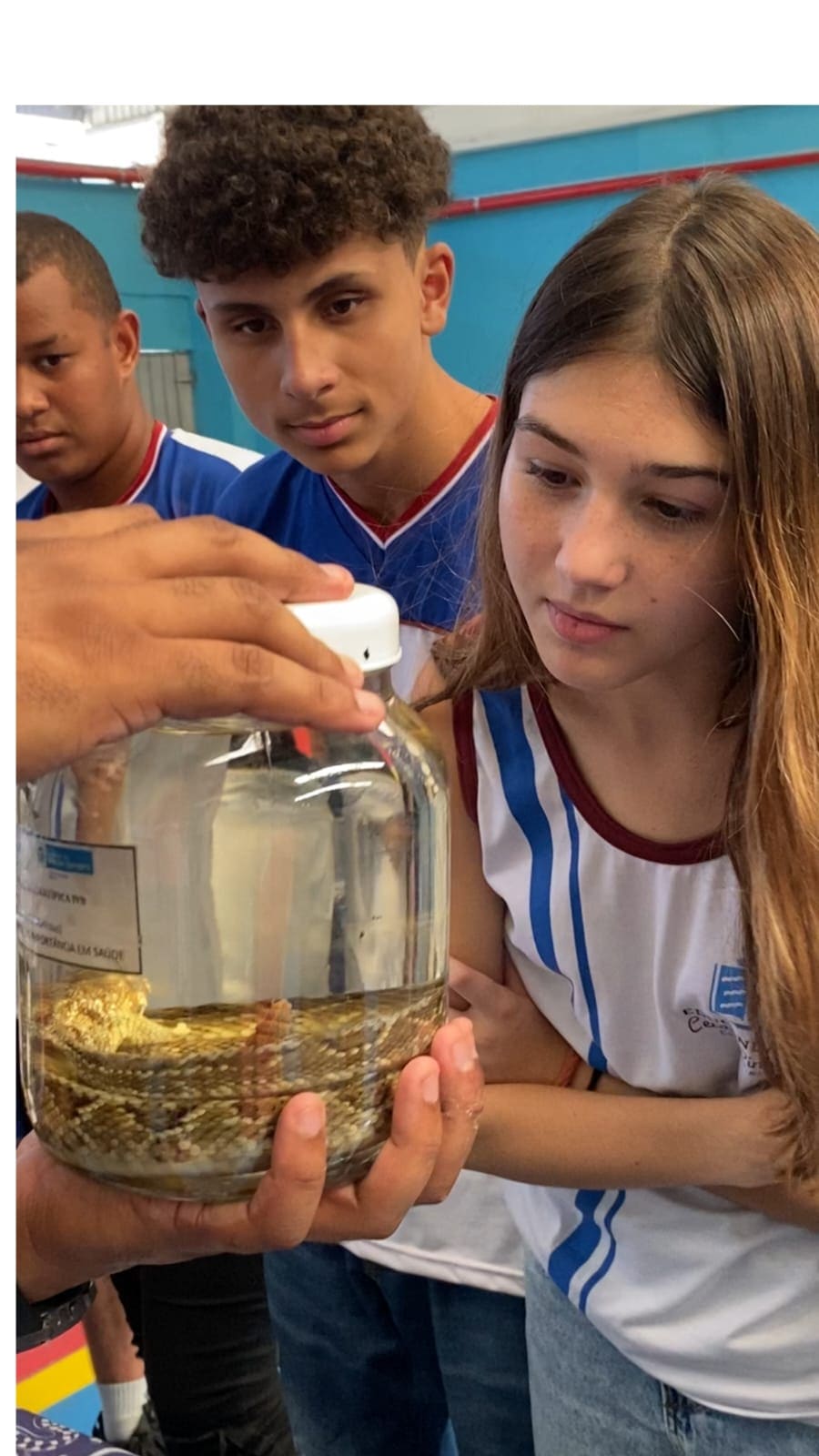 Feira de Ciências e Tecnologia